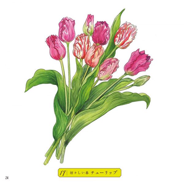 Sketch coloring book-Beautiful Botanical Art - Seasonal Arrangement Flower - Japanese coloring book