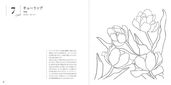 Sketch coloring book-Beautiful Elegant Flower-Colorful Flowers- - Japanese coloring book