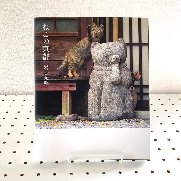 Cats living in Kyoto by Mitsuaki Iwago