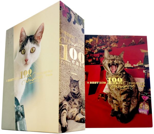 Mitsuaki Iwago's Cat Postcard Best 100 - Japanese photography