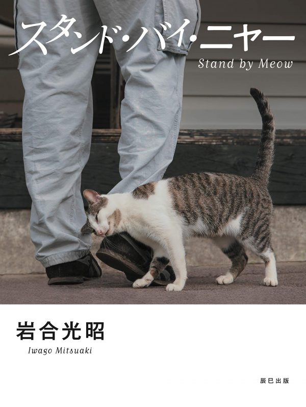 Stand by Meow by Mitsuaki Iwago - Japanese photography book