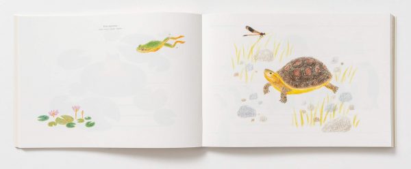 100 Writing & Crafting Papers of Animals by Ai Akikusa