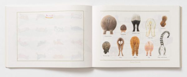 100 Writing & Crafting Papers of Animals by Ai Akikusa