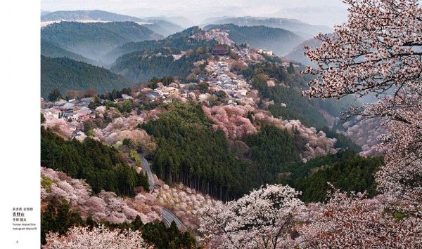 The most beautiful view of Japan