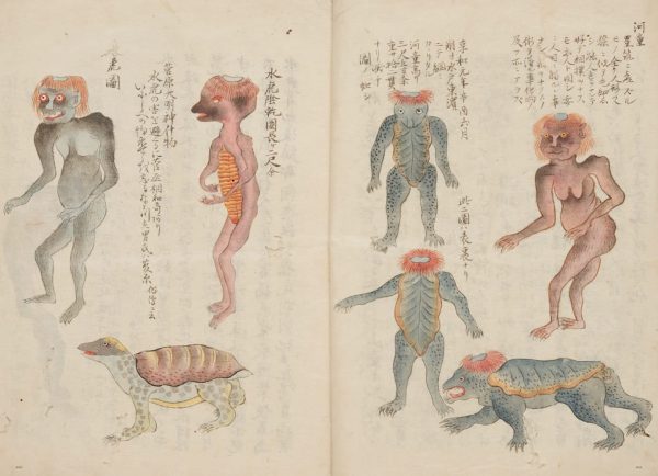 YOKAI - Koichi Yumoto collection - Miyoshi mononoke museum- Japanese folk monster book