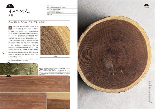 A picture book of wood that shows the grain and the end of the wood- Useful species in Japan 101_4