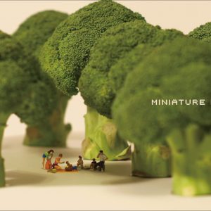 MINIATURE LIFE - Tatsuya Tanaka