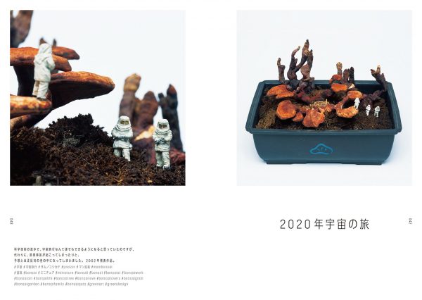 Man Bonsai Super Scene- Miniatures and Tree Table Gardening4