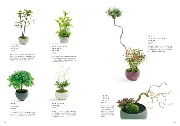 New bonsai textbook ─ Small scenery Making, loving, and growing bonsai10