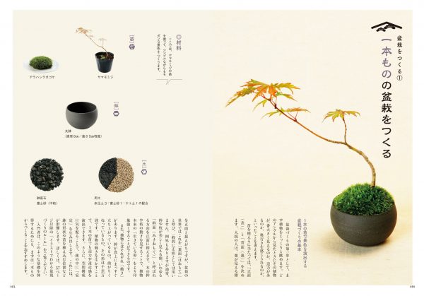 New bonsai textbook ─ Small scenery Making, loving, and growing bonsai4