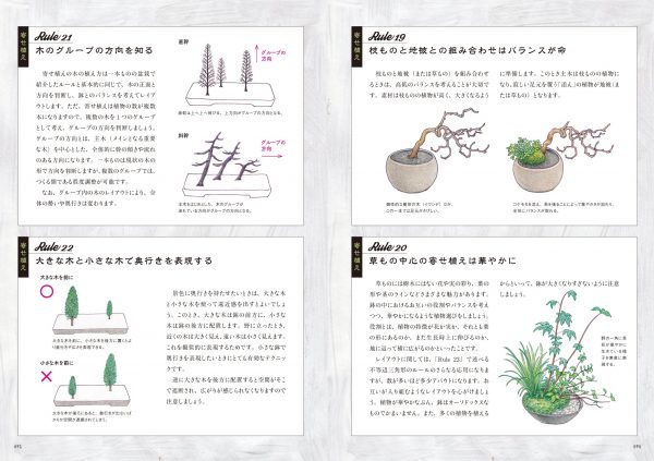 New bonsai textbook ─ Small scenery Making, loving, and growing bonsai6
