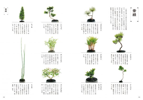 New bonsai textbook ─ Small scenery Making, loving, and growing bonsai8