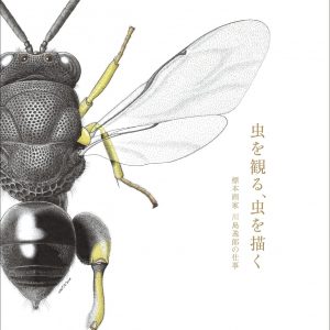 Watching insects, drawing insects-The work of Itsuro Kawashima, a specimen painter