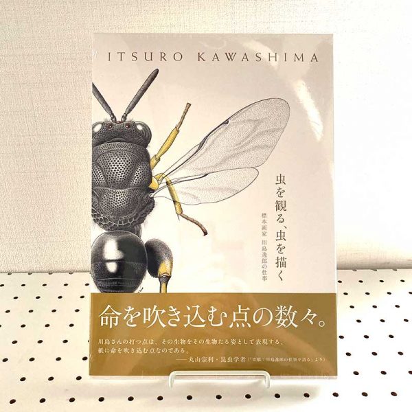 Watching insects, drawing insects-The work of Itsuro Kawashima, a specimen painter