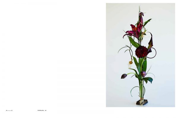 Encyclopedia of Flowers vol. V by Azuma Makoto & Shunsuke Shiinoki3