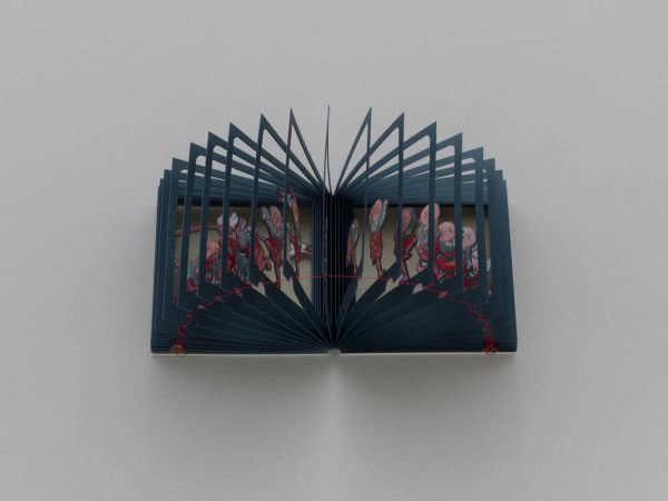 360°BOOK HOKUSAI SUZUMEODORI - Yusuke Oono - Japanese pop up book