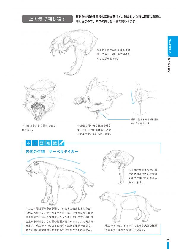 Monster Design Book : Creating Monsters from Animals