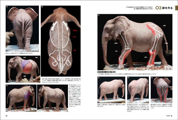 ANIMAL MODELING : Animal Anatomy - Hiroshi Katagiri