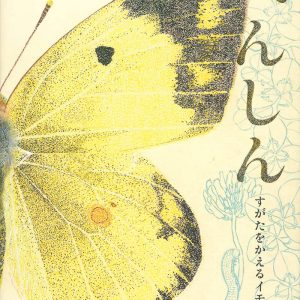 Metamorphosis : The Caterpillar That Changes Form - Suzuko Momoyama