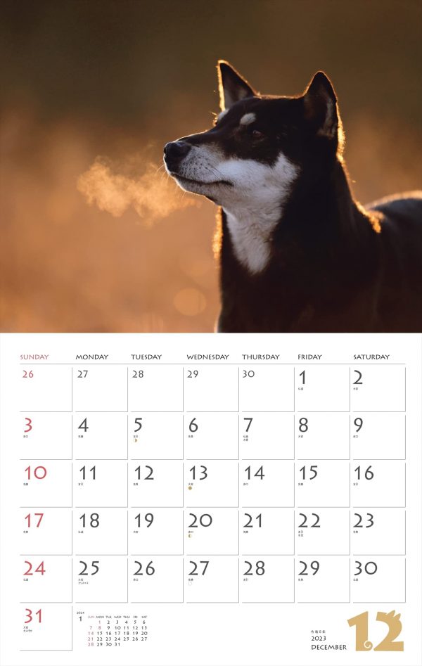 Calendar 2023 Shiba Inu (Moon Turn/Wall Hanging)