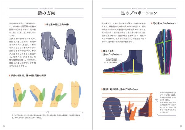art anatomy of hand + foot