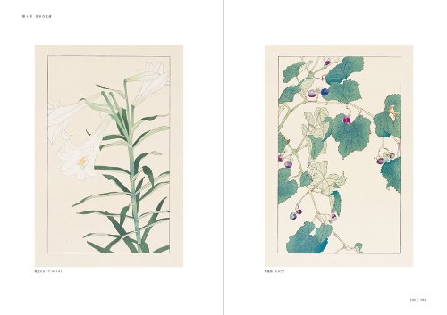 HISUI SUGIURA : A PIONEER OF JAPANESE GRAPHIC DESIGN