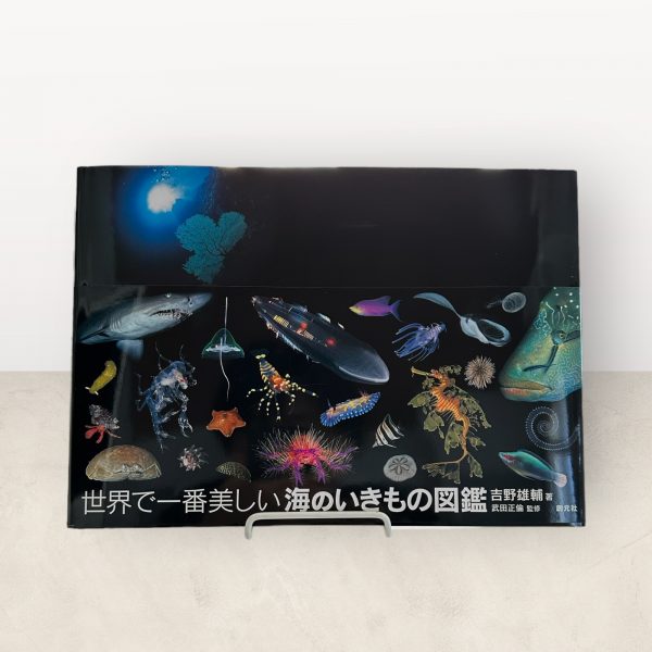 The World's Most Beautiful Sea Creature Picture Book