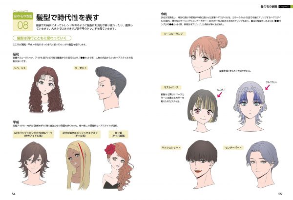Practical Collection of the hairstyle Recipes