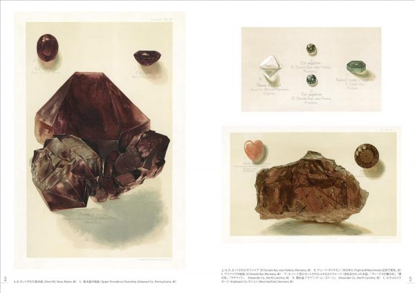 The Book of Beautiful Antique Mineral Paintings