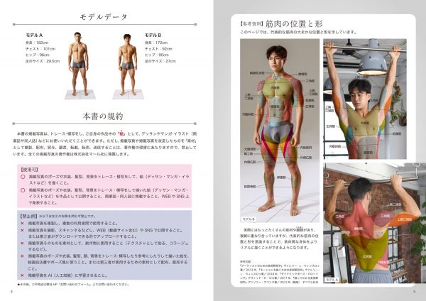 Catalog of poses for muscular men